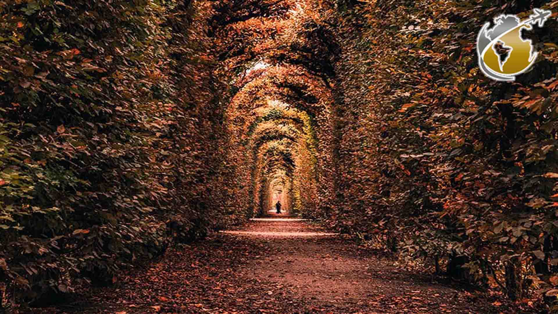 سفر های خارجی پاییزی با تور 